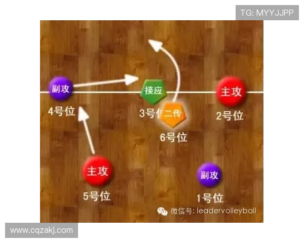 南京排球队在锦标赛中的灵活性表现与战术创新分析